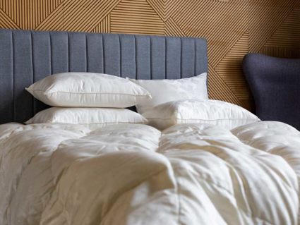 Одеяло German Grass Silk Down Grass теплое 220х240